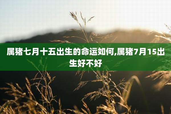 属猪七月十五出生的命运如何,属猪7月15出生好不好