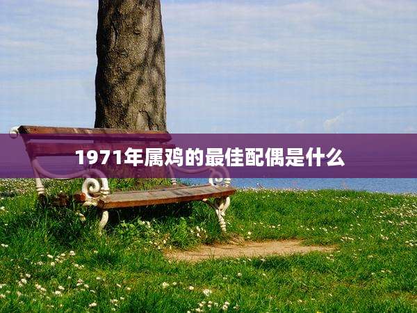 1971年属鸡的最佳配偶是什么