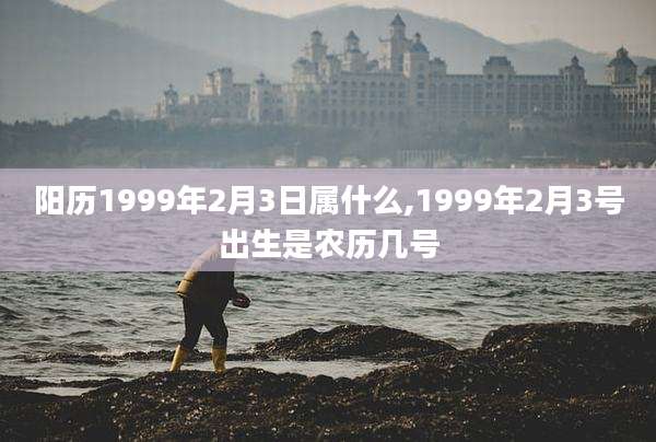 阳历1999年2月3日属什么,1999年2月3号出生是农历几号