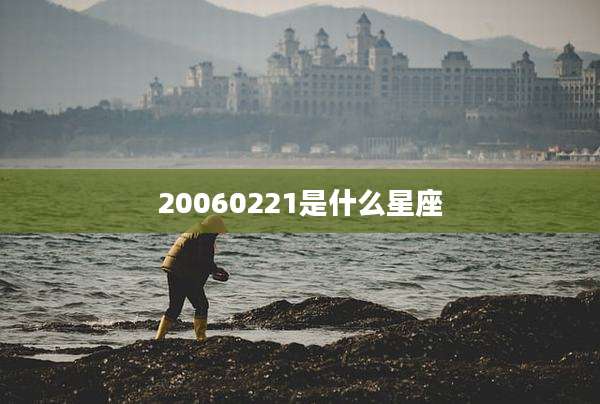 20060221是什么星座