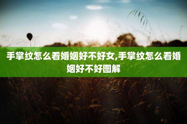 手掌纹怎么看婚姻好不好女,手掌纹怎么看婚姻好不好图解