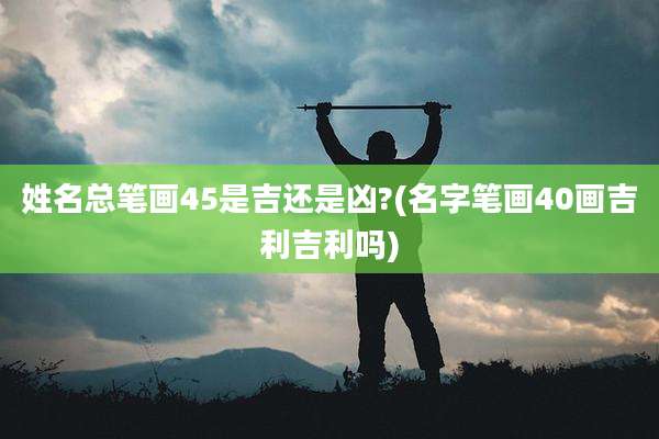 姓名总笔画45是吉还是凶?(名字笔画40画吉利吉利吗)