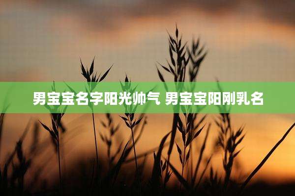 男宝宝名字阳光帅气 男宝宝阳刚乳名