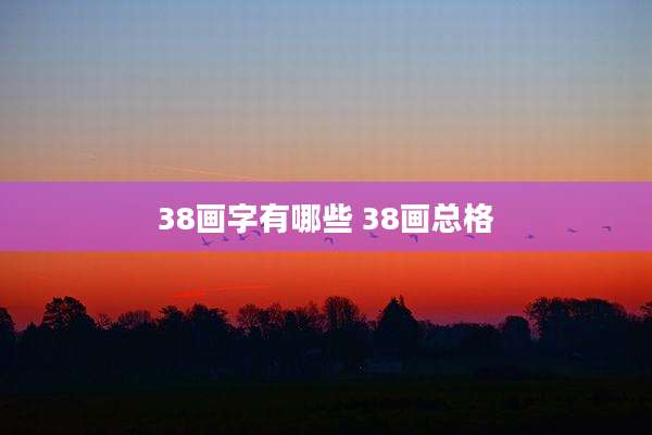 38画字有哪些 38画总格