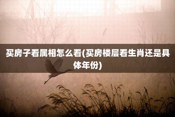 买房子看属相怎么看(买房楼层看生肖还是具体年份)