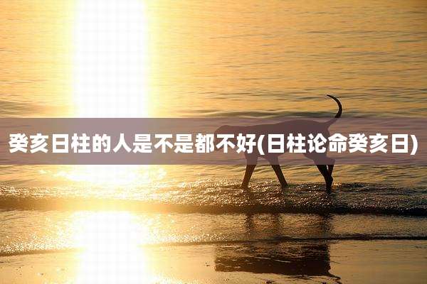癸亥日柱的人是不是都不好(日柱论命癸亥日)