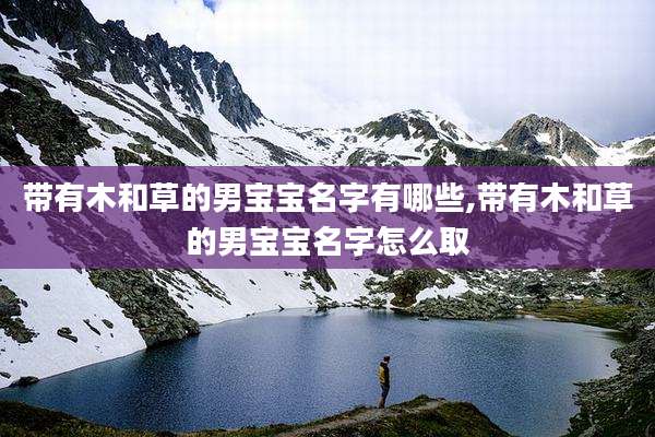 带有木和草的男宝宝名字有哪些,带有木和草的男宝宝名字怎么取