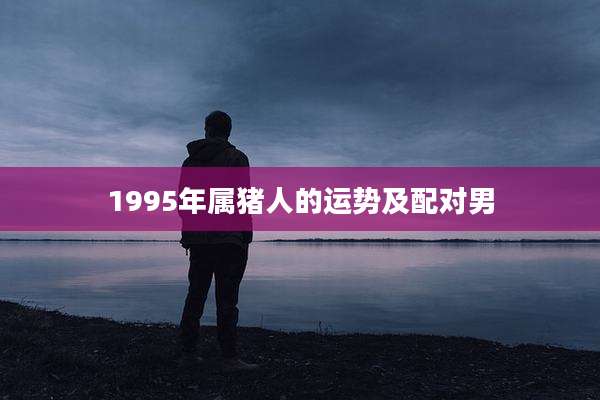 1995年属猪人的运势及配对男