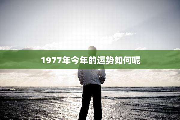 1977年今年的运势如何呢