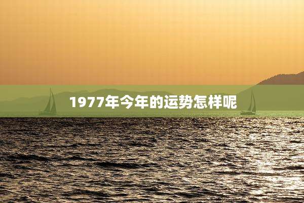 1977年今年的运势怎样呢