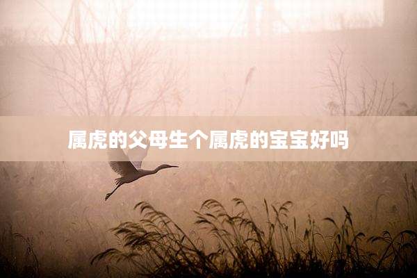 属虎的父母生个属虎的宝宝好吗