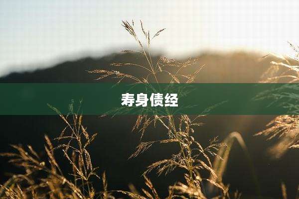 寿身债经