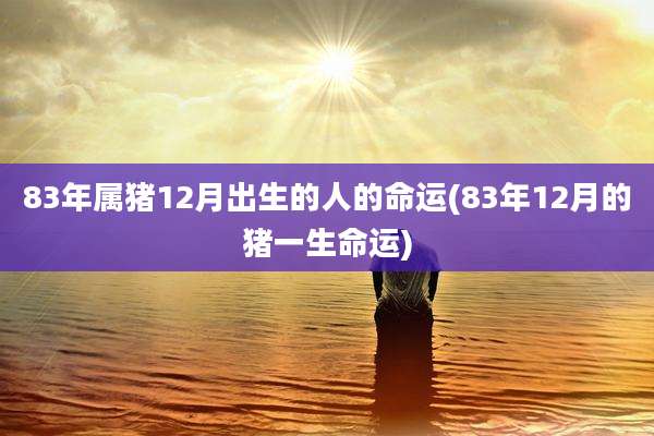 83年属猪12月出生的人的命运(83年12月的猪一生命运)