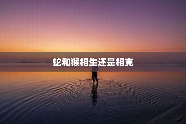 蛇和猴相生还是相克
