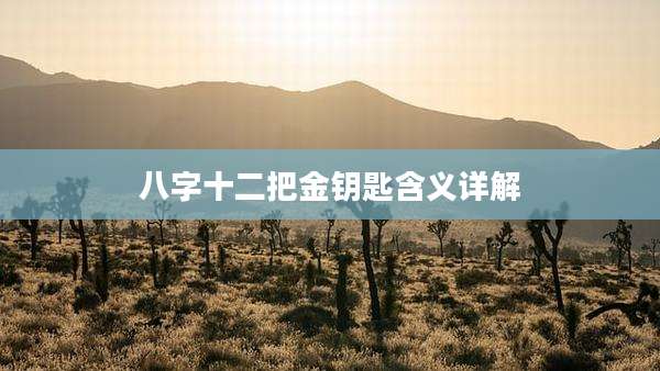 八字十二把金钥匙含义详解