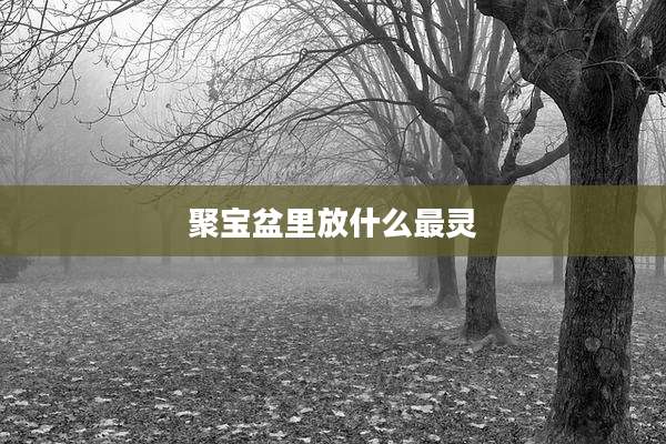 聚宝盆里放什么最灵