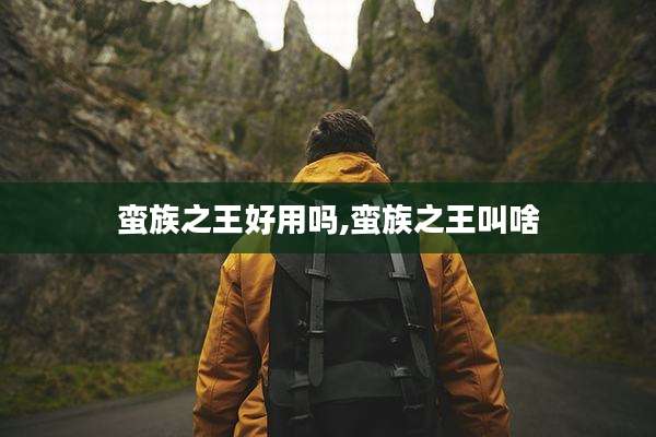 蛮族之王好用吗,蛮族之王叫啥