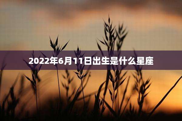 2022年6月11日出生是什么星座