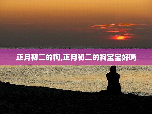 正月初二的狗,正月初二的狗宝宝好吗