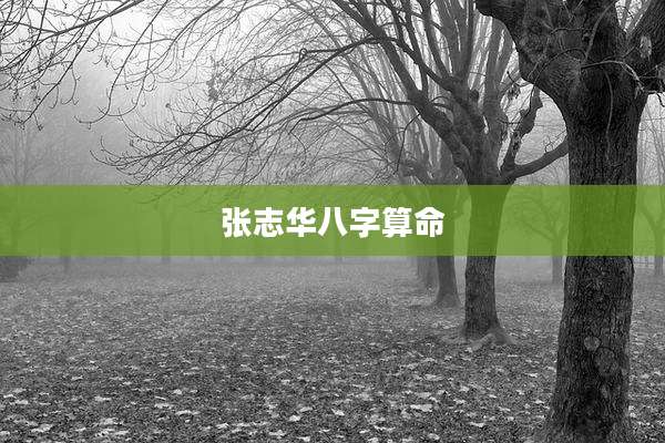张志华八字算命