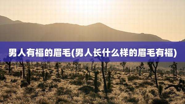 男人有福的眉毛(男人长什么样的眉毛有福)