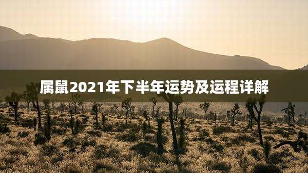 属鼠2021年下半年运势及运程详解