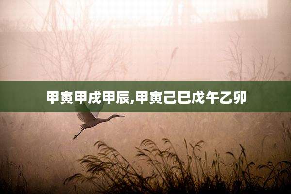 甲寅甲戌甲辰,甲寅己巳戊午乙卯