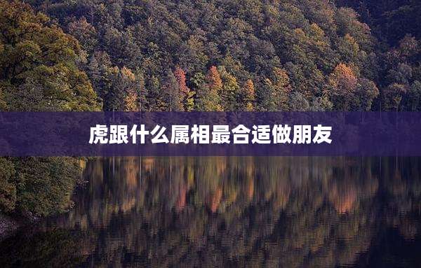 虎跟什么属相最合适做朋友