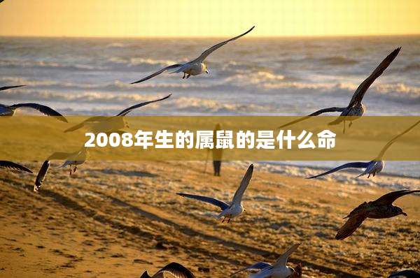 2008年生的属鼠的是什么命