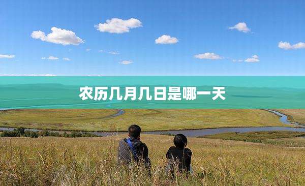 农历几月几日是哪一天