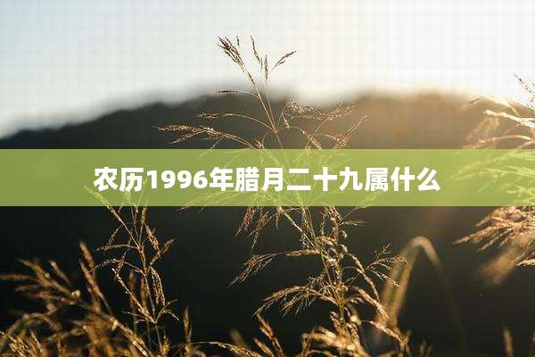 农历1996年腊月二十九属什么