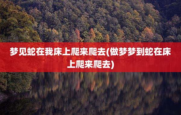 梦见蛇在我床上爬来爬去(做梦梦到蛇在床上爬来爬去)