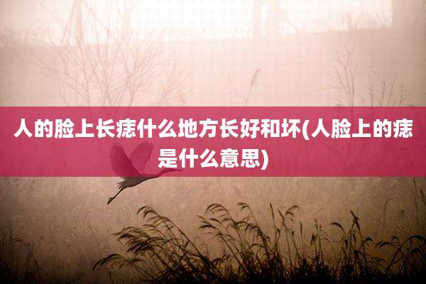人的脸上长痣什么地方长好和坏(人脸上的痣是什么意思)