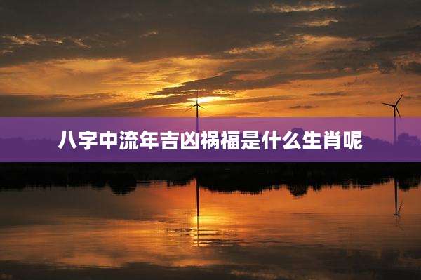 八字中流年吉凶祸福是什么生肖呢