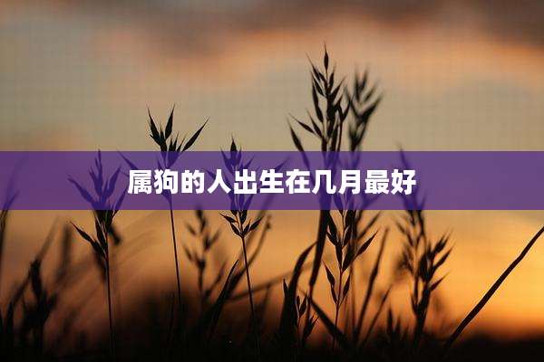属狗的人出生在几月最好