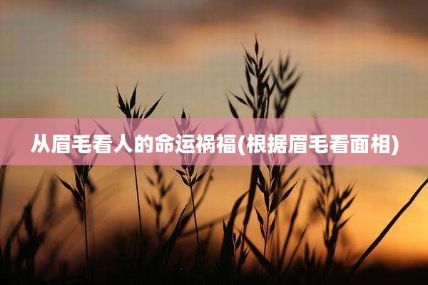 从眉毛看人的命运祸福(根据眉毛看面相)