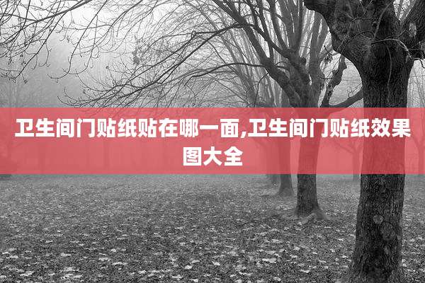 卫生间门贴纸贴在哪一面,卫生间门贴纸效果图大全