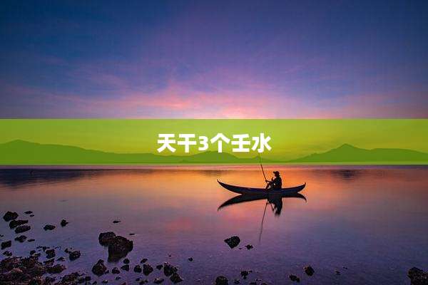 天干3个壬水