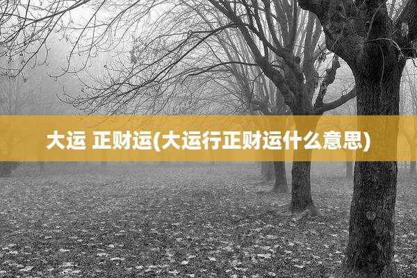 大运 正财运(大运行正财运什么意思)