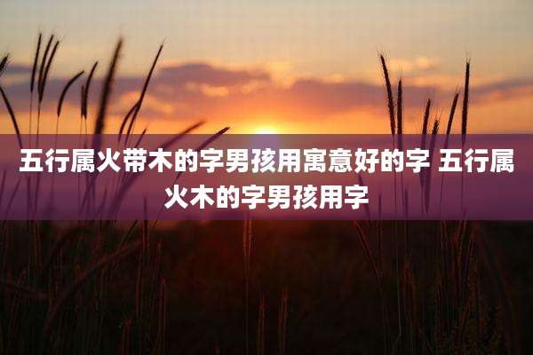五行属火带木的字男孩用寓意好的字 五行属火木的字男孩用字