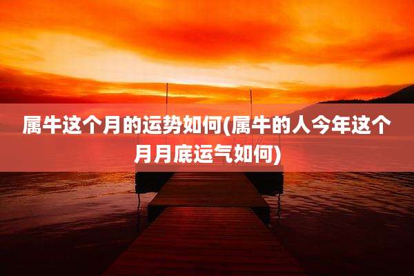 属牛这个月的运势如何(属牛的人今年这个月月底运气如何)