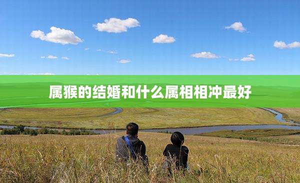 属猴的结婚和什么属相相冲最好