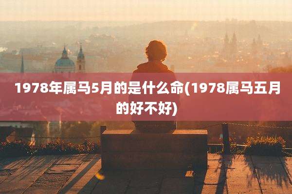 1978年属马5月的是什么命(1978属马五月的好不好)