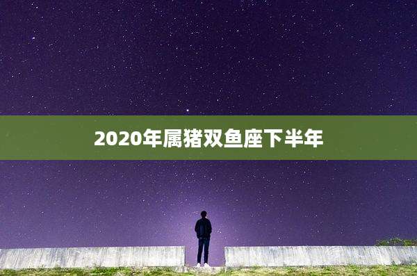 2020年属猪双鱼座下半年