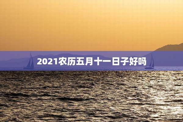 2021农历五月十一日子好吗