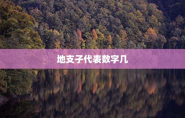 地支子代表数字几