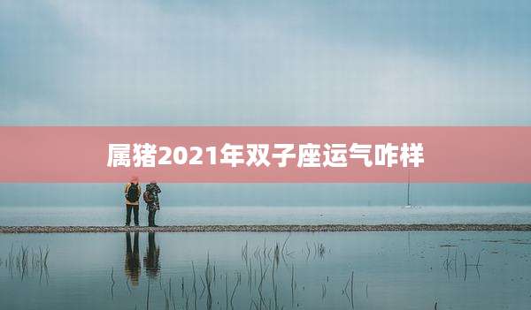 属猪2021年双子座运气咋样