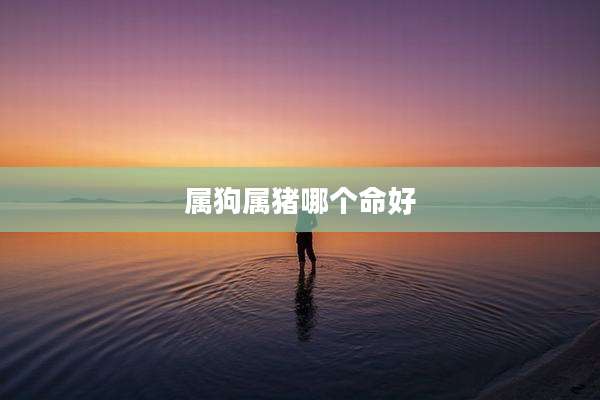 属狗属猪哪个命好
