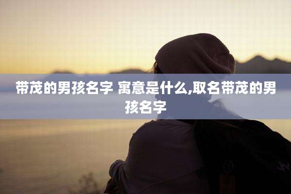带茂的男孩名字 寓意是什么,取名带茂的男孩名字