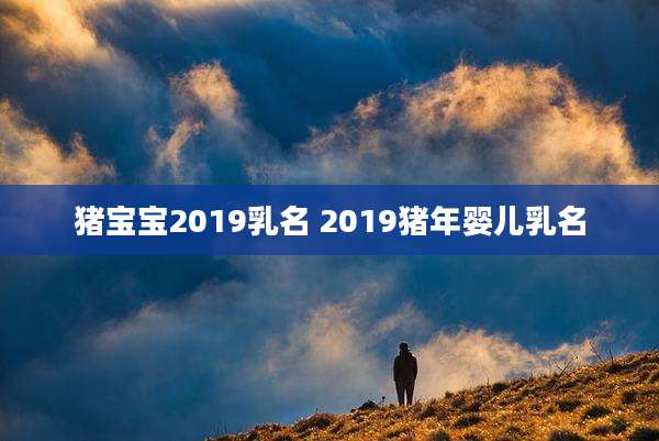 猪宝宝2019乳名 2019猪年婴儿乳名